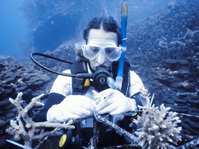 Coral Restoration & Sea Turtle Conservation by Scuba Diving in South Tanzania