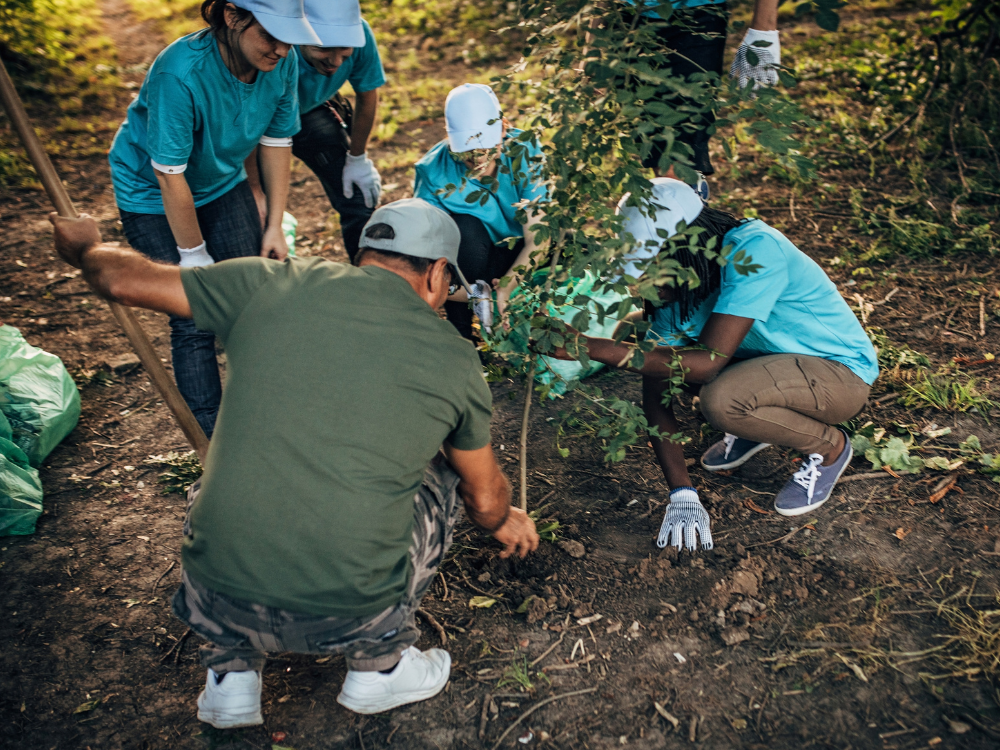 Benefits of Volunteering at Any Age