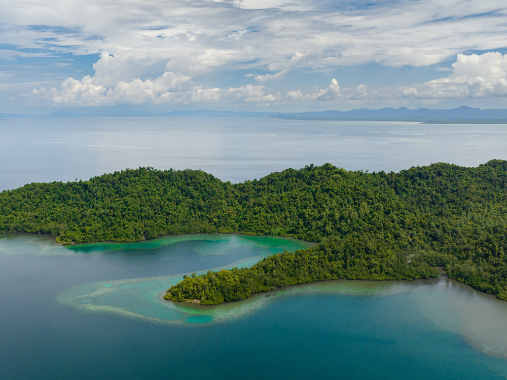Borneo Wildlife Safari in Malaysia