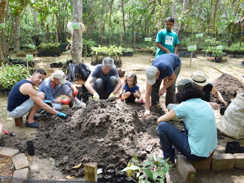 Exciting Ideas for Family Volunteering Vacations