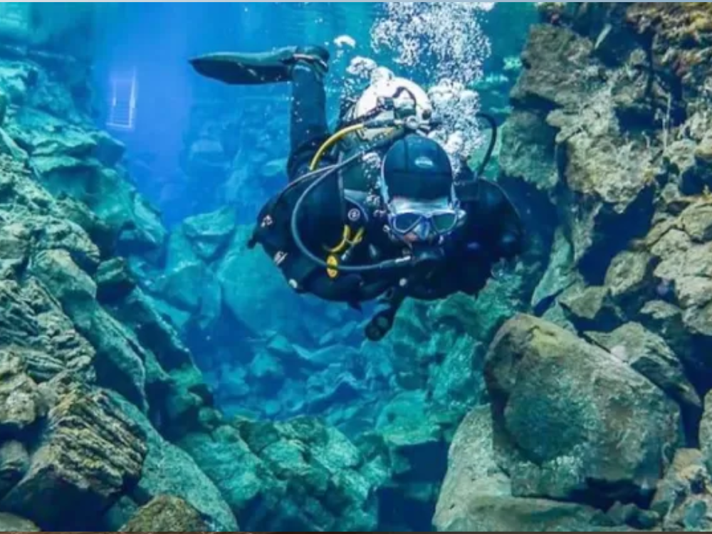 Volunteering Opportunities in Barcelona