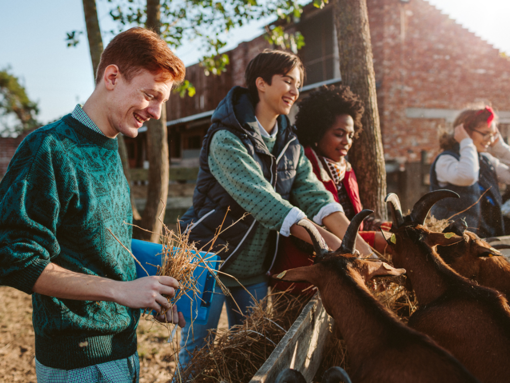 Why Young Adults Lead in International Volunteering