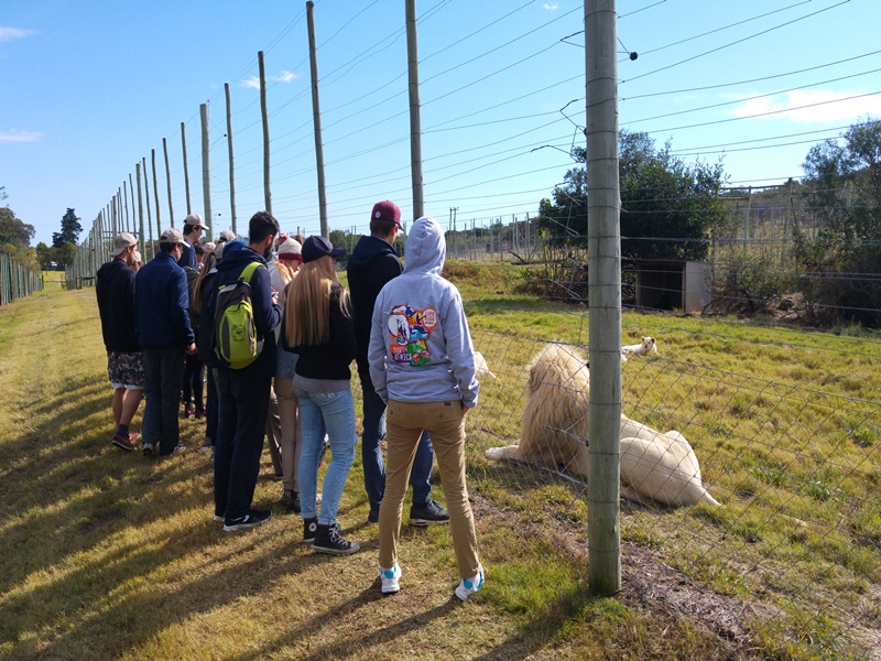 Wildlife Volunteer Projects