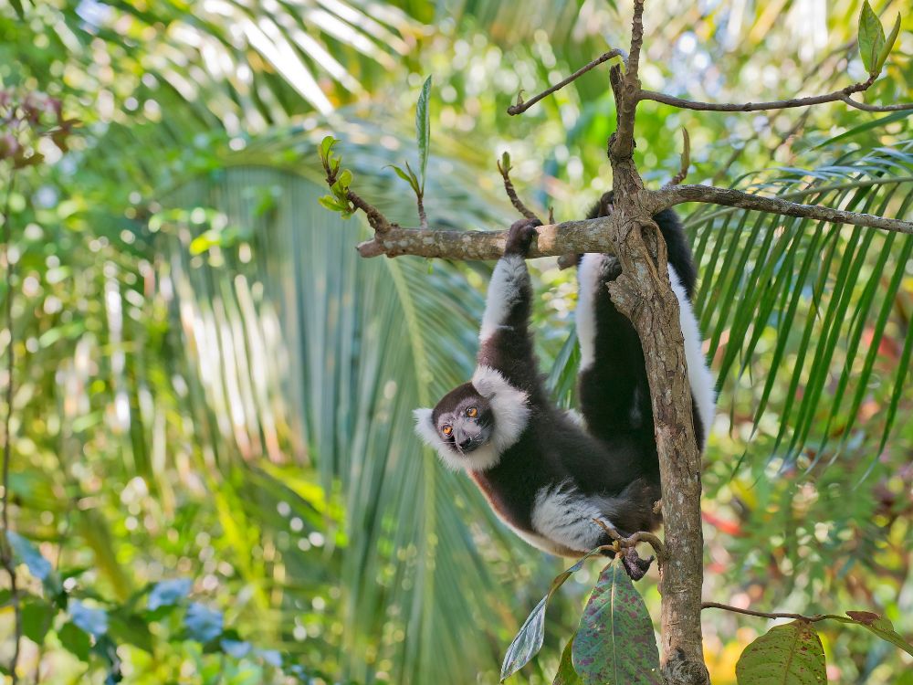 Marvel at Natural Wonders