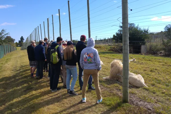 Wildlife Volunteer Project in South Africa