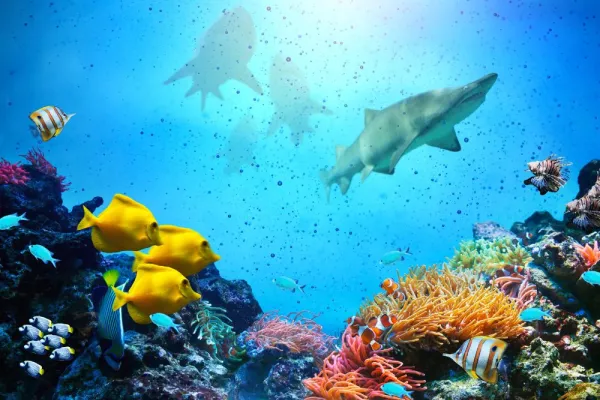 Best Places to Volunteer in Europe with Animals in 2025/2026