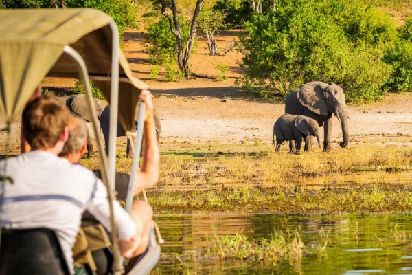 5 Best Programs if You Want to Volunteer with Animals in Africa in 2026