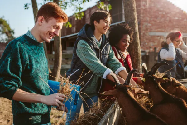 Can Americans Volunteer in Europe?