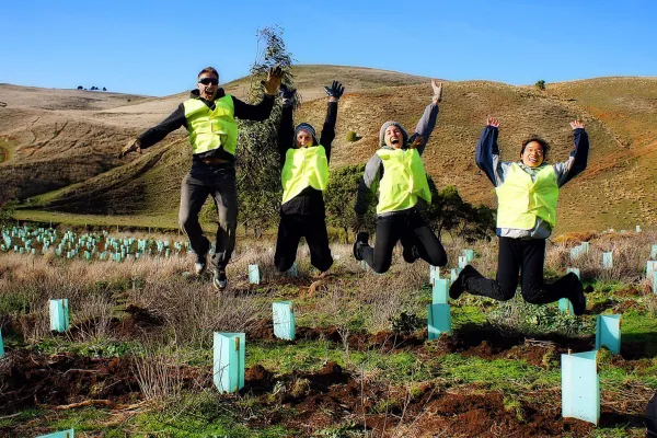 What Are the Benefits of Conservation Volunteering Abroad?