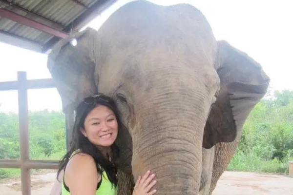 Volontariat mit Elefanten in Tailandia