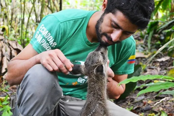 Volontario des Centro di Resgate de Animais aus Amazonien in Ecuador