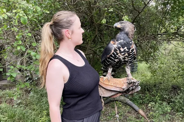 Programma voor Erhaltung en Sanierung der Aves de Rapina do Quênia