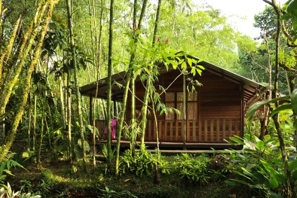 Amazon Animal Rescue Center- Puyo, Ecuador