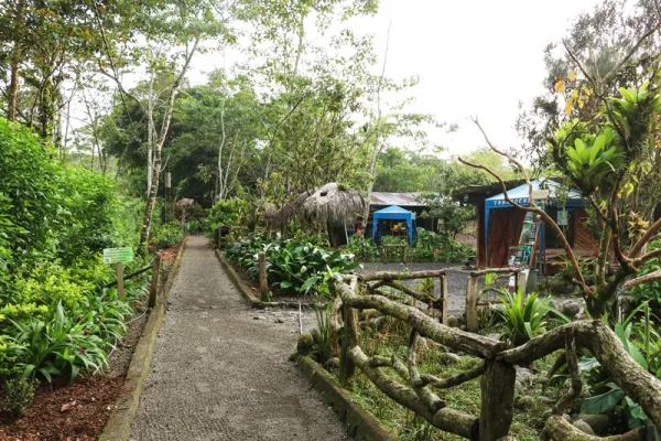 Amazon Animal Rescue Center- Puyo, Ecuador