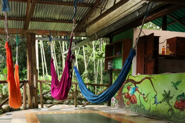 Amazon Animal Rescue Center- Puyo, Ecuador