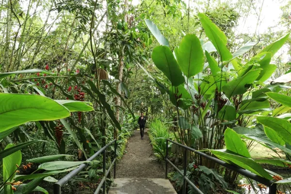 Amazon Animal Rescue Center- Puyo, Ecuador