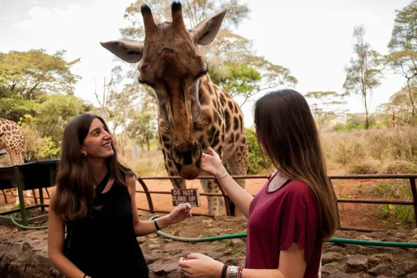 Why Should You Choose To Volunteer In Kenya In 2025?