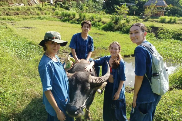 Why Animal Volunteering Is Such a Rewarding Experience