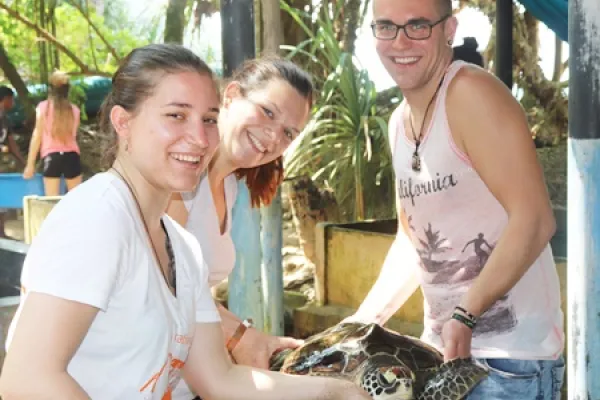 Sea Turtle Conservation Volunteering in Sri Lanka
