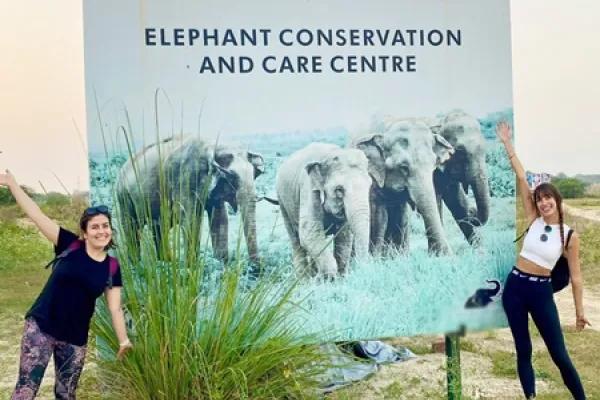 Esperienza di volontariato met gli olifant en cura dei cuccioli 