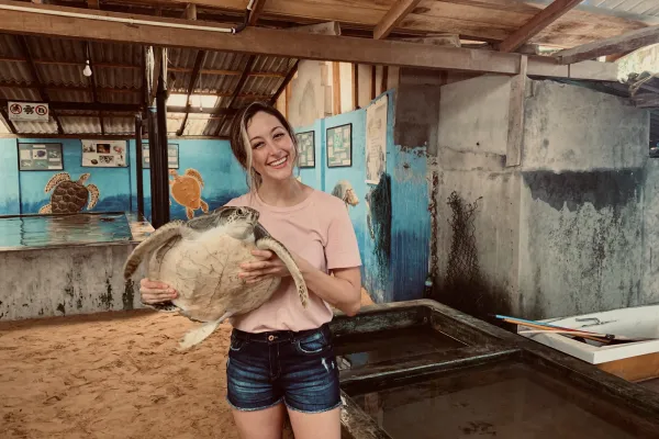 Affordable Sea Turtle Conservation Volunteer Programs Abroad