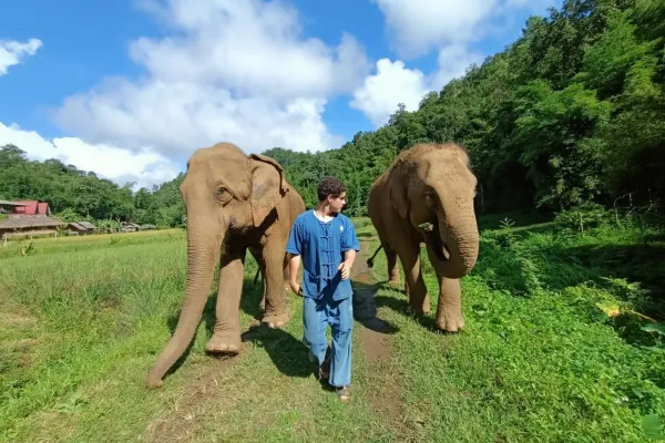 Can Animal Volunteering Bring You a Connection with Nature