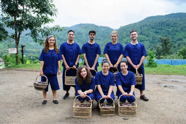 How To Decide The Volunteering Organization You Want To Work With?