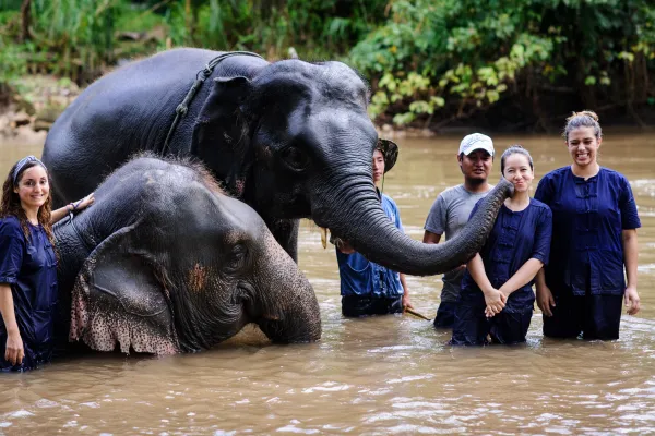 10 Steps To Become A Volunteer For A Wildlife Conservation Project in 2025
