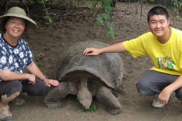Best Sea Turtle Volunteer Programs for 2025
