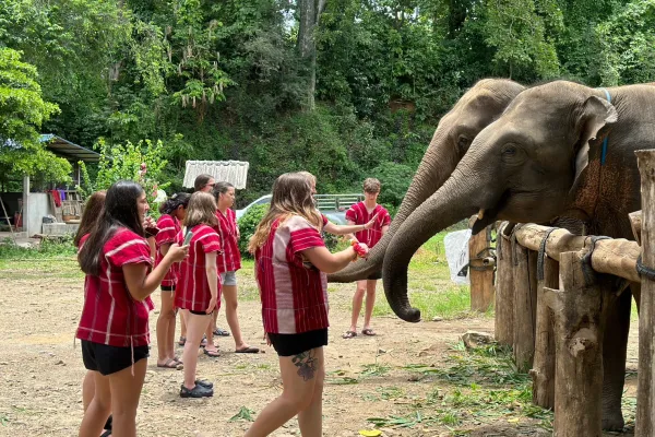Be A Part Of Wildlife Conservation Projects &#8211; Volunteer Abroad With Animals