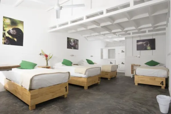 Wildlife Rescue Center - Puerto Viejo- San Jose, Costa Rica