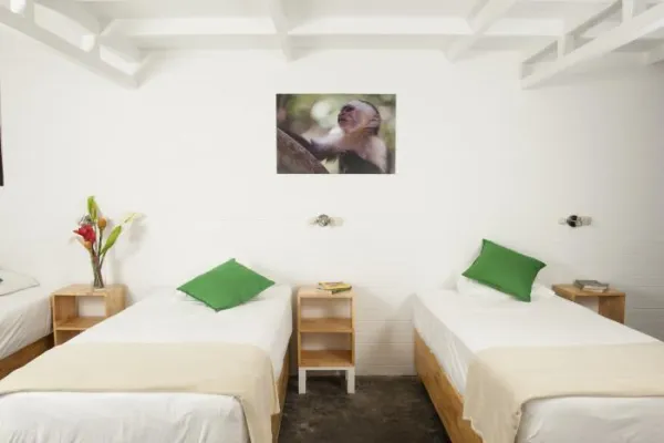 Wildlife Rescue Center - Puerto Viejo- San Jose, Costa Rica