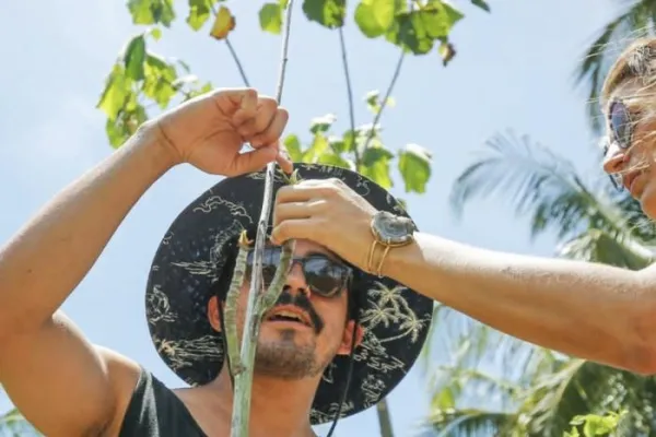 Volunteer Abroad in Costa Rica with Volunteering Solutions