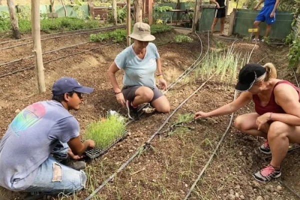 Volunteer Abroad in Costa Rica with Volunteering Solutions