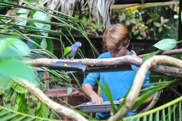 Wildlife & Rescue Costa Rica - Costa Rica