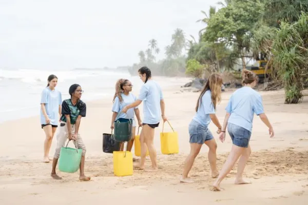 Sea Turtle Sri Lanka - Sri Lanka