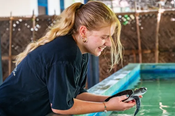 Sea Turtle Sri Lanka - Sri Lanka