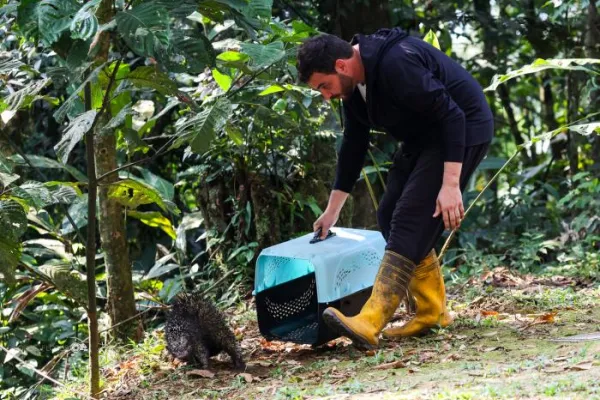Amazon Animal Rescue Center - Ecuador