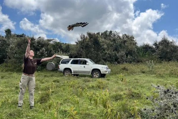 Kenya Raptor Conservation Program