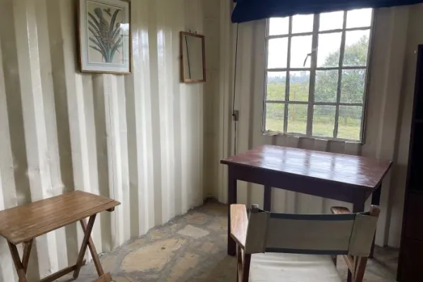 Seja voluntário no Programa de Conservação e Reabilitação de Aves de Rapina do Quênia.