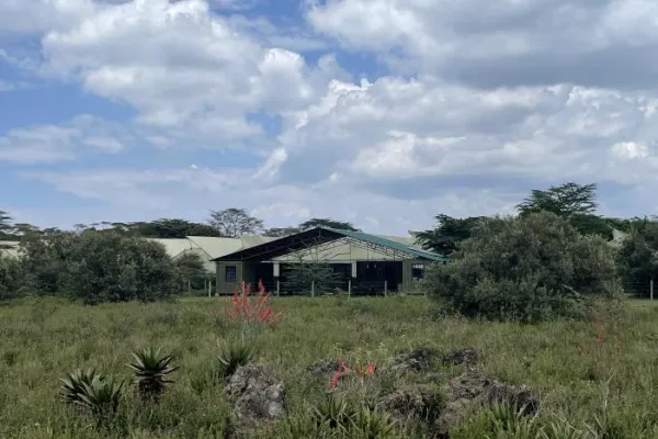 Seja voluntário no Programa de Conservação e Reabilitação de Aves de Rapina do Quênia.