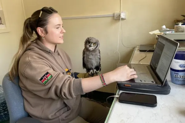 Kenya Raptor Conservation Program