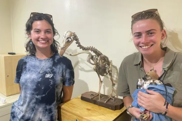 Kenya Raptor Conservation Program