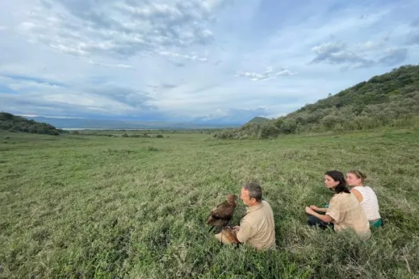 Kenya Raptor Conservation Program