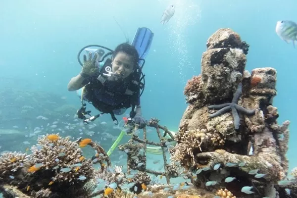 Scuba Dive Volunteer for Coral Reef Restoration Program - Bali