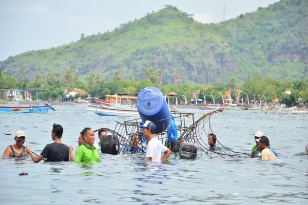 Scuba Dive Volunteer for Coral Reef Restoration Program - Bali