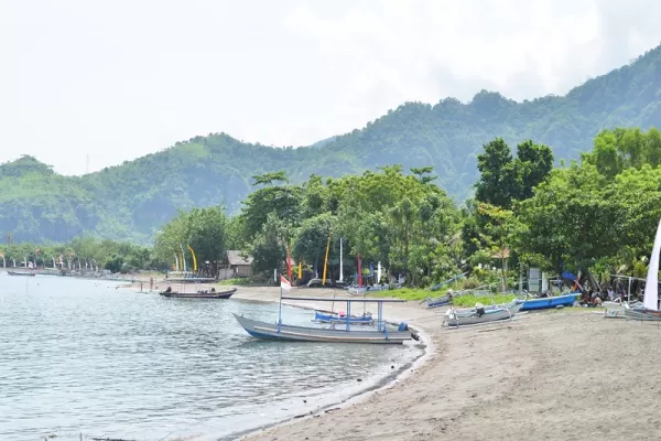 Scuba Dive Volunteer for Coral Reef Restoration Program - Bali