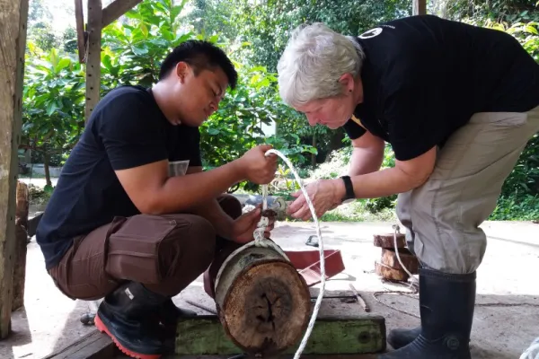 Sun Bear Conservation - Malaysia