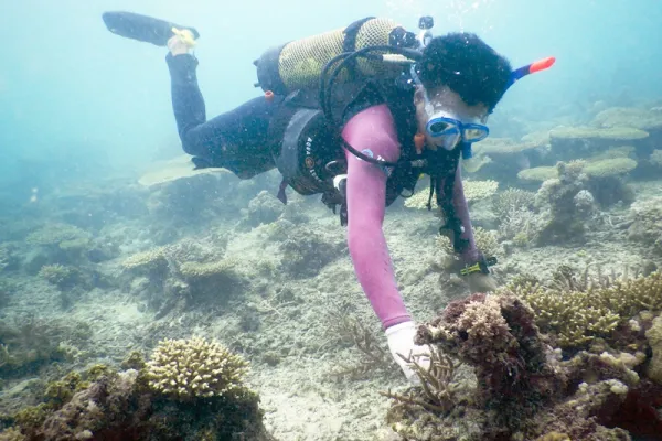 Coral Reef Mtwara - Tanzania