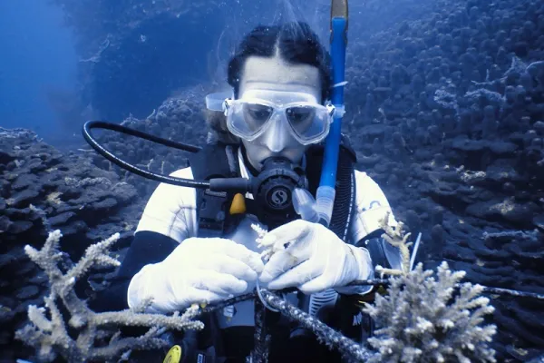 Coral Reef Mtwara - Tanzania